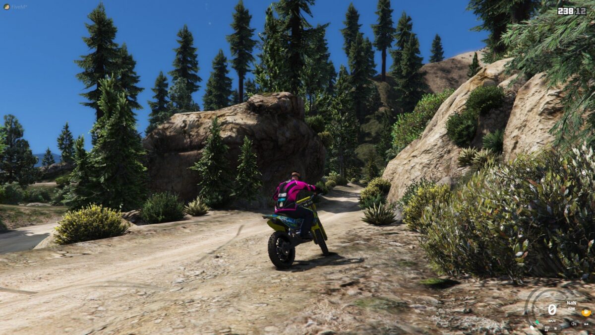 Vista previa del recurso Forest FiveM FiveM 3