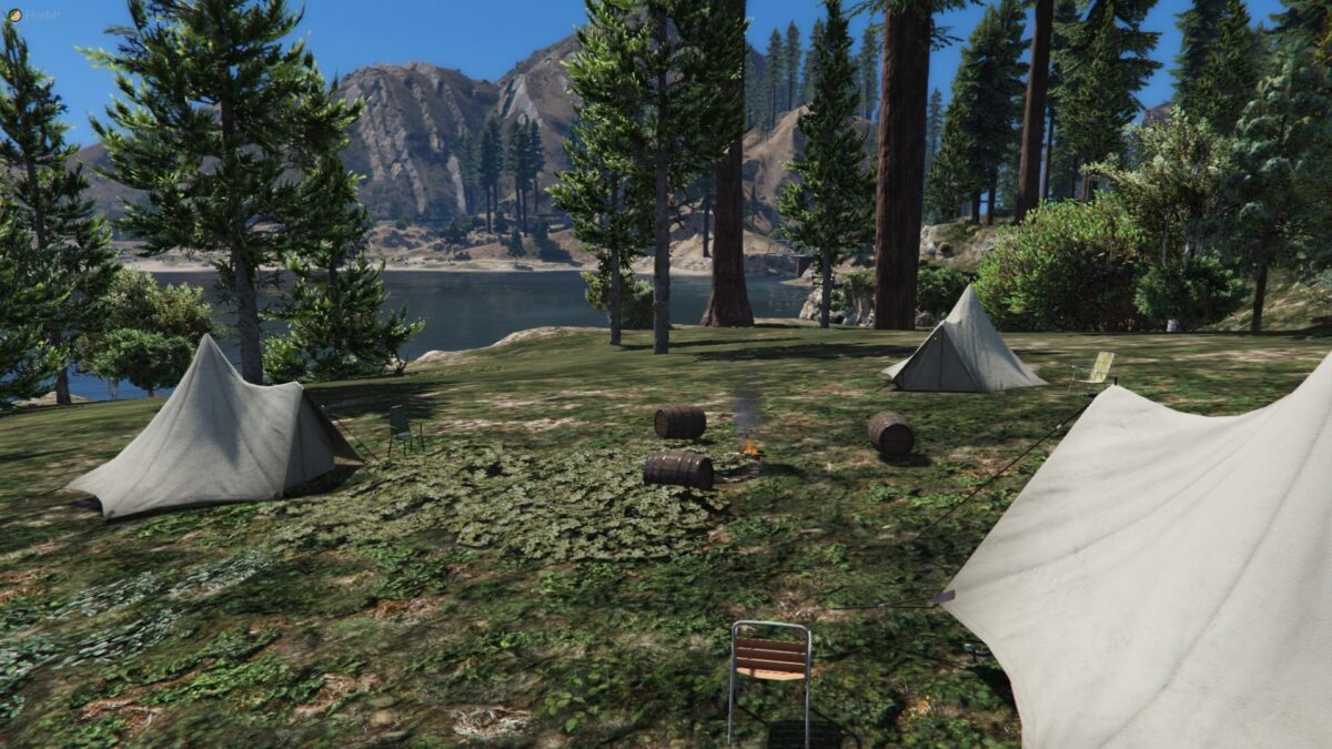 Vista previa del recurso Forest FiveM FiveM 4
