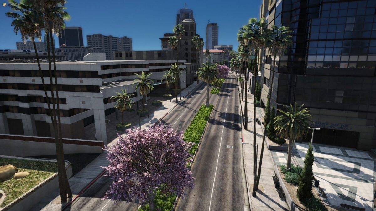 Vista previa del recurso Forest FiveM FiveM 6