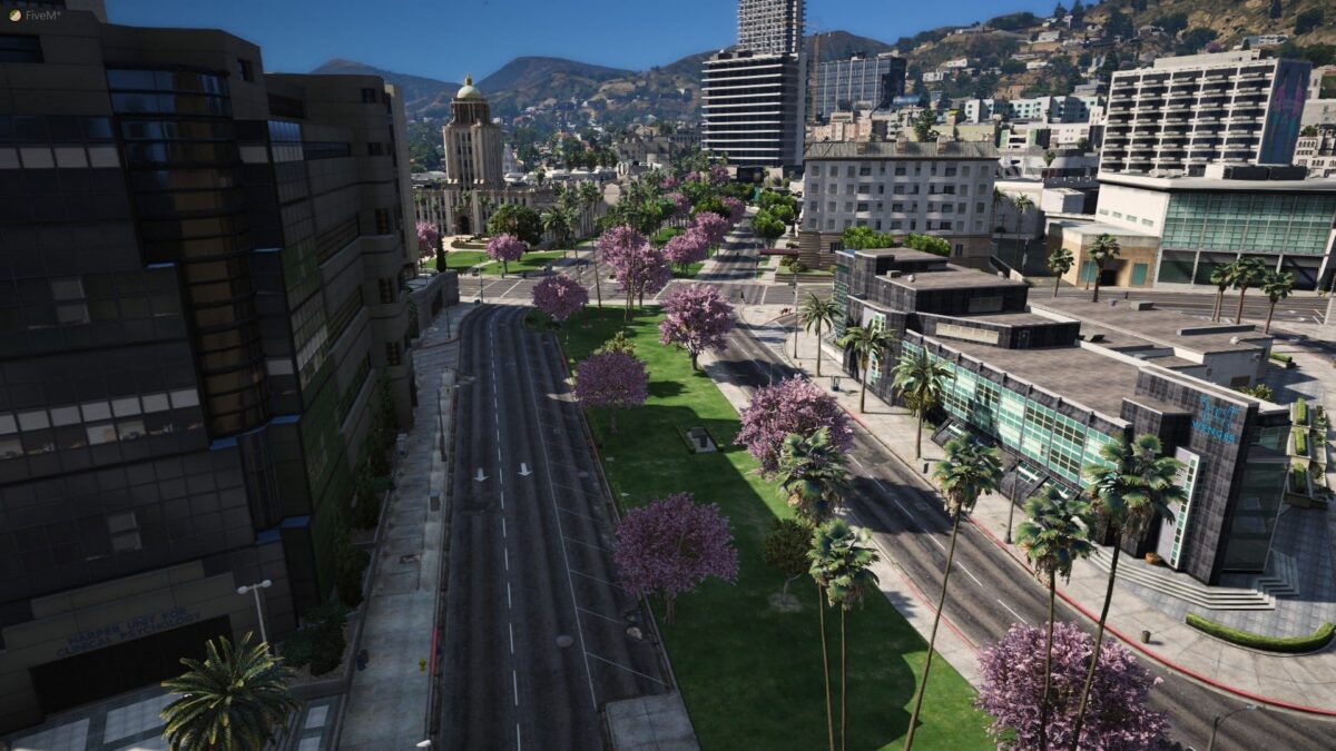 Vista previa del recurso Forest FiveM FiveM 7