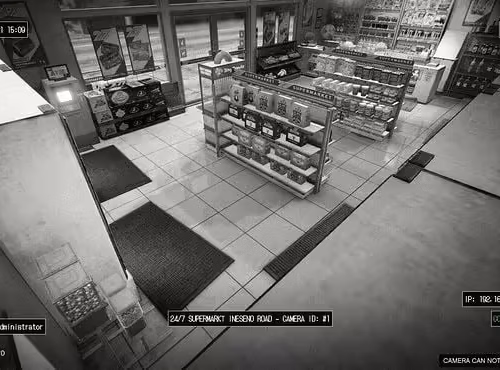 Surveillance Cam