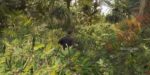 FiveM Cayo Perico (Premium) por UncleJust FiveM vista previa del recurso 7