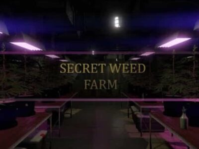 FiveM weed farm