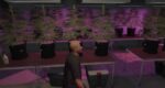 Granja secreta de Weed MLO FiveM vista previa del recurso 5