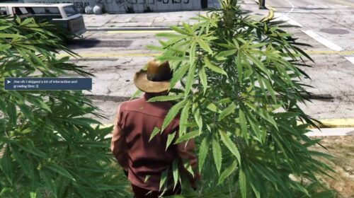 FiveM Weed System (V4)