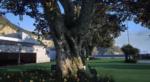 Vista previa del recurso Blossom Mansion FiveM 11