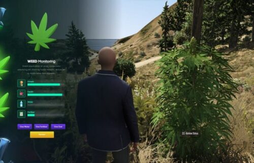 Weed Grow Script