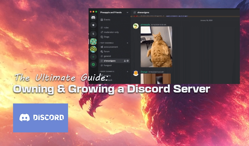 Der ultimative Leitfaden: Besitz und Ausbau eines Discord-Servers