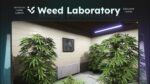 Weed Laboratory (QB) FiveM resource preview