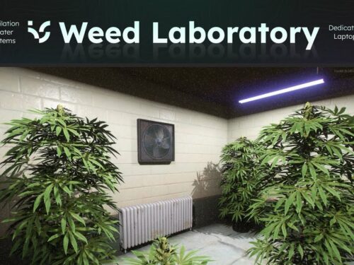 Weed Laboratory (QB) FiveM resource preview