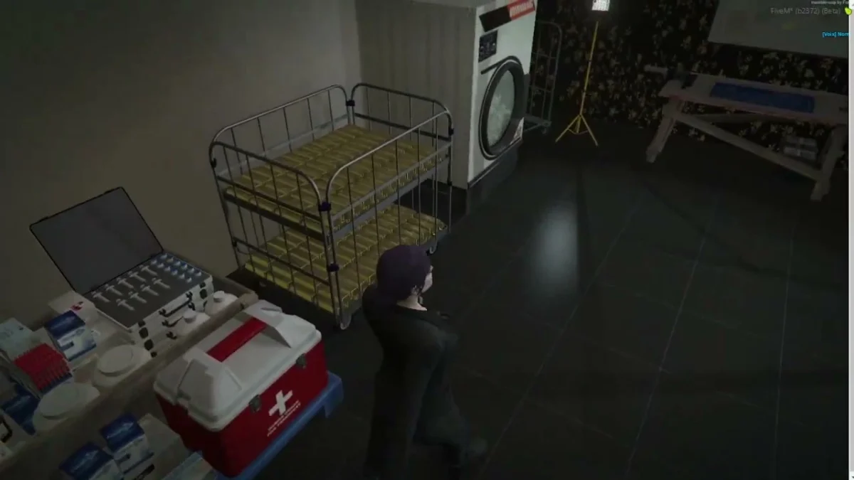 Vista previa del recurso Mafia Bratva Mansion MLO FiveM 10