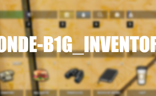 Conde B1g ESX Inventory FiveM resource preview