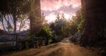 ONX Vegetation Pack - FiveM Trees, Forests + Foliage Overhaul 5