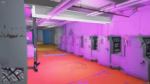 Vista previa del recurso Cyberpunk Laundry FiveM 2